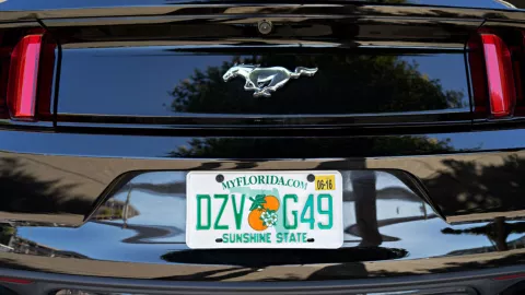 Las placas especiales de Florida tienen variados diseños que dependen de la temática.