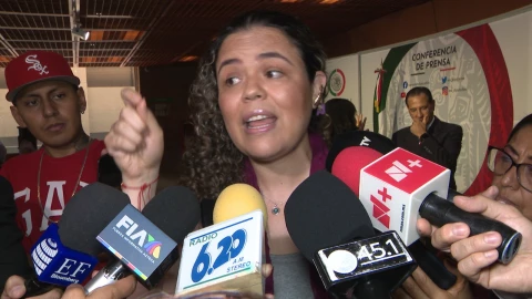 Mariana Gómez del Campo.jpeg