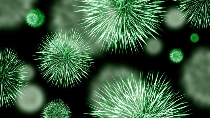 ¿Cómo prevenir el contagio de coxsackie ante brote en BC.jpg