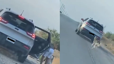 Abandonan a perrito husky en carretera de Texas