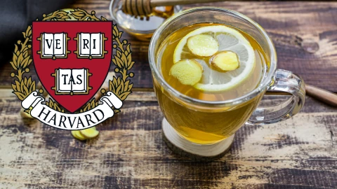 Estos son los mejores t&eacute;s de acuerdo con la Universidad de Harvard