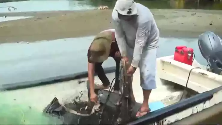 Derrame de hidrocarburos