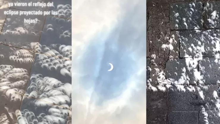 Eclipse solar en las hojas de los árboles