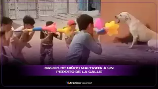 ¿Falta de educación? Captan a grupo de niños MALTRATANDO a un perrito de la calle