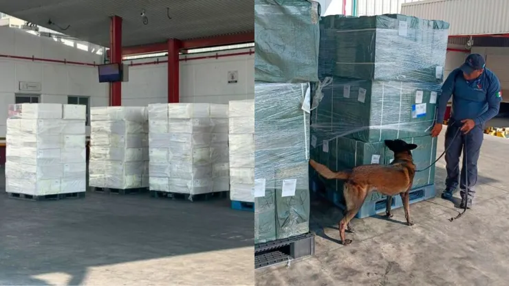 Aseguran 20 toneladas de cigarros en el AICM provenientes de Japón; “huachicol tabaco”