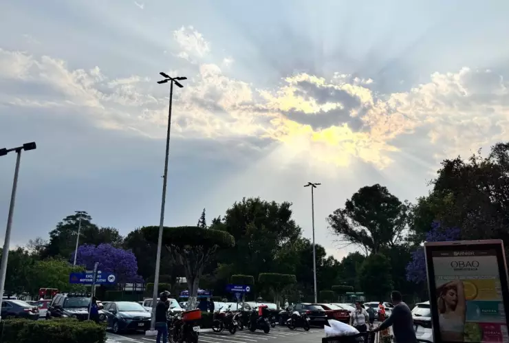 Diseño sin título - 2025-04-02T193138.349.jpg