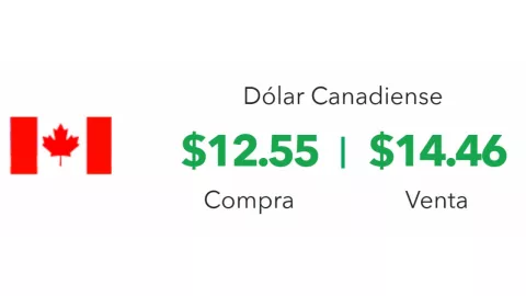 Precio del dólar hoy 25 de marzo 2025; tipo de cambio en México