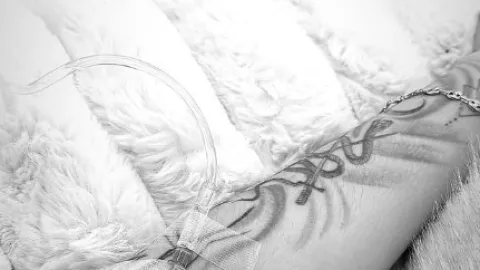 Captura de pantalla 2025-03-05 174951.png