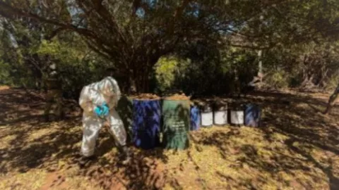 Laboratorios de drogas en Sinaloa