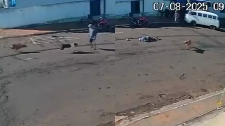 Hombre es derribado por un perro.jpg