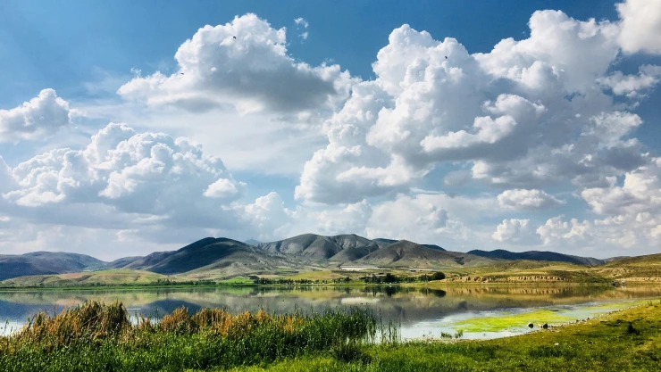 Imagen de cielo nublado con montaña y bosque.