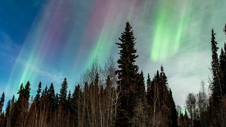 ¿Desde dónde se verán en Florida las auroras boreales_.jpg