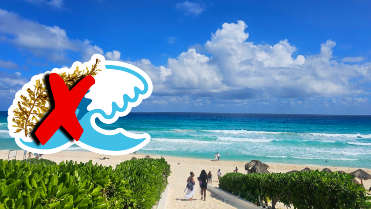 Estas son las playas sin sargazo en Quintana Roo HOY 18 de noviembre de 2025_ Cancún, Playa del Carmen, Tulum y más.webp