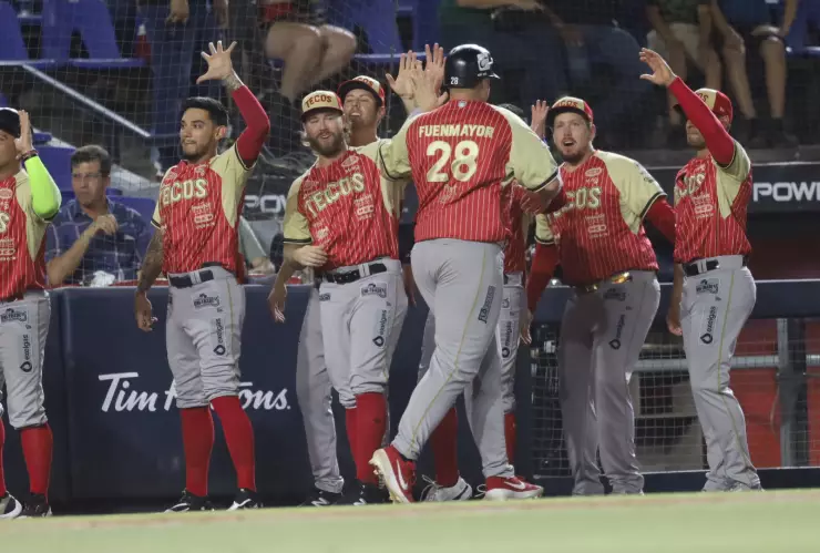 tecolotes de los dos laredos beisbol sultanes de monterrey
