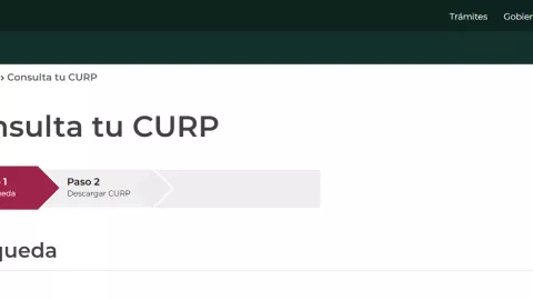 Cómo tramitar tu CURP