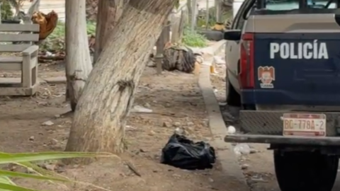 Hallan cabeza humana en un parque de la colonia Mariano Matamoros