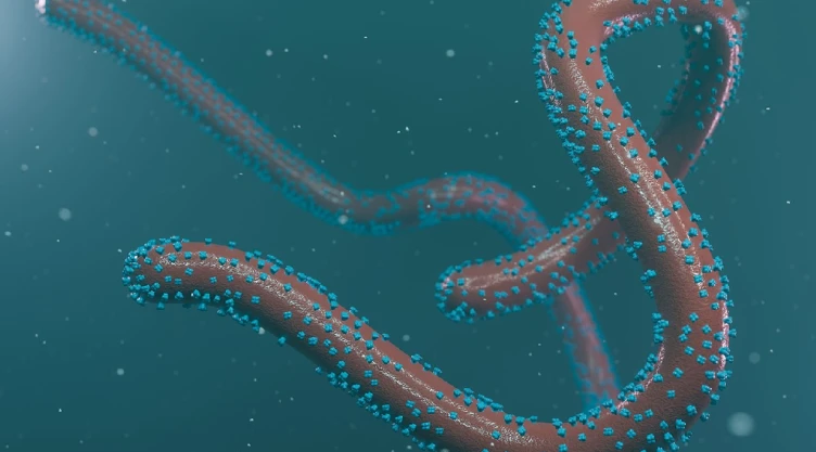 El virus de Marburgo, qué es y cuáles son sus síntomas