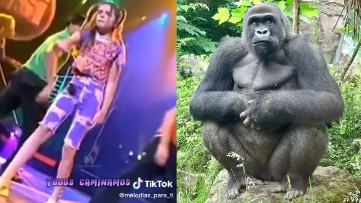 Ella es Melody, la cantante de El Baile del Gorila