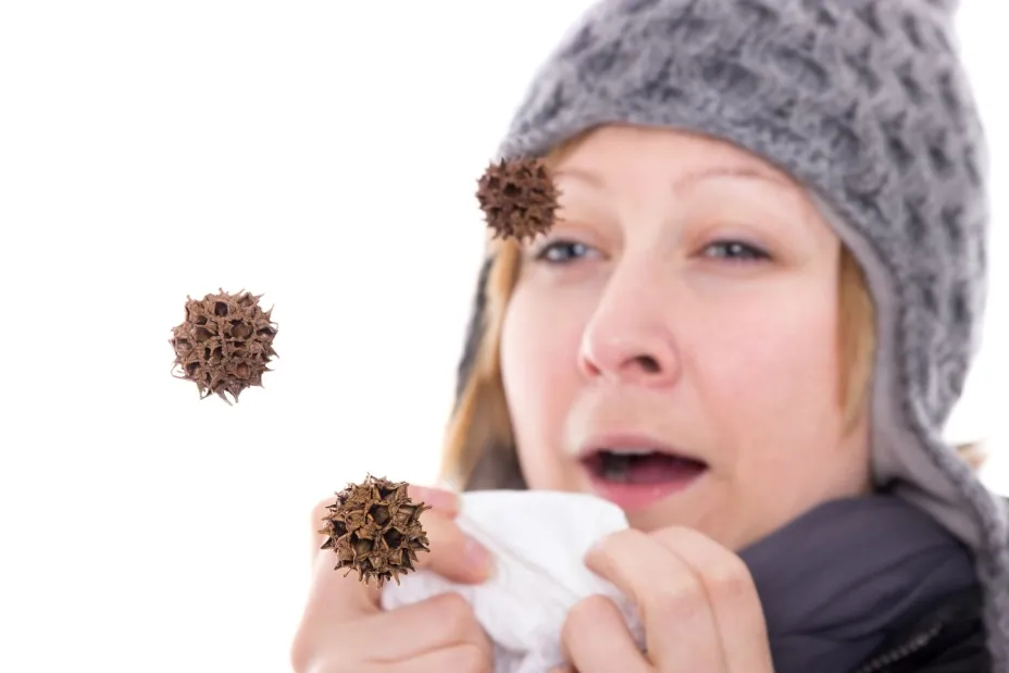 Influenza-tibanna.jpg