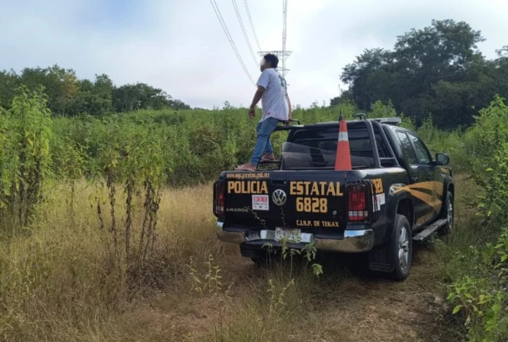 Sin rastro del abuelito PERDIDO en montes de Cantamayec; la búsqueda continúa