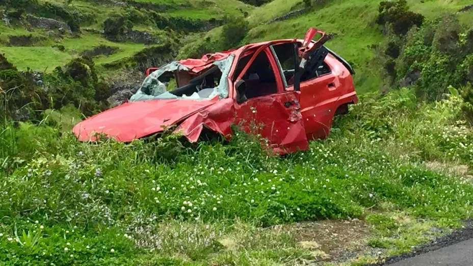 Cocodrilo provoca fatal accidente automovilístico en Sinaloa; mueren tres personas