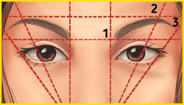 Cejas