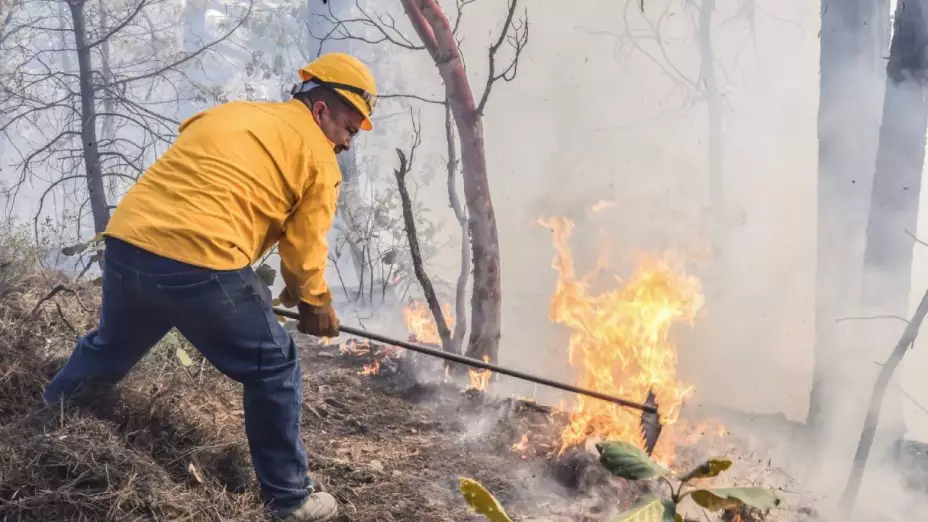 Incendios forestales Chihuahua