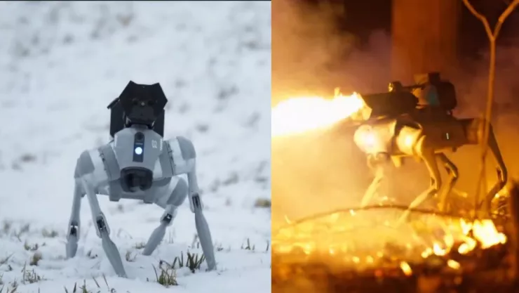 Perro robot con lanzallamas se vuelve viral, ¿cuánto costará en México?