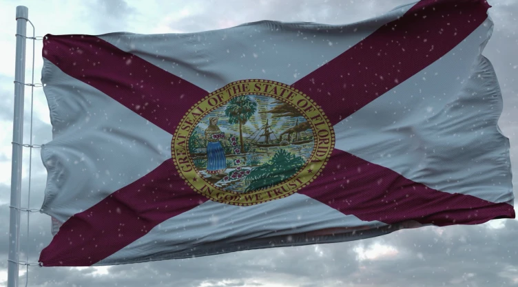 Bandera del estado de Florida en medio de un clima invernal