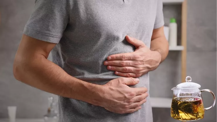 La IA revela cuáles son las 2 plantas más efectivas para tratar la gastritis leve.jpg