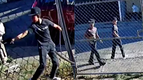 Joven le dispara a perro