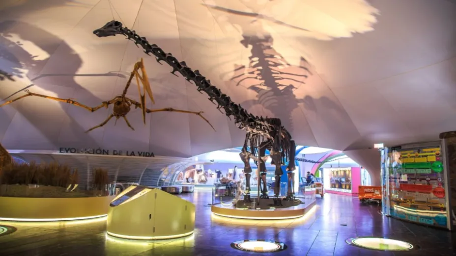 Museo_Sedema.jpeg