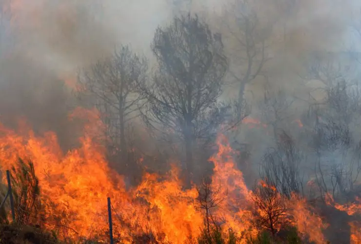 Consejos para proteger la salud del humo provocado por incendios forestales