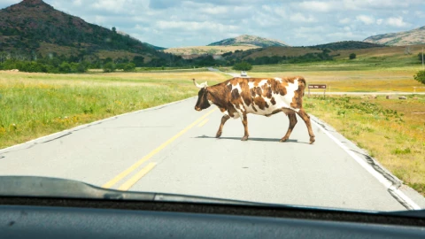 accidente en Parral.jpg