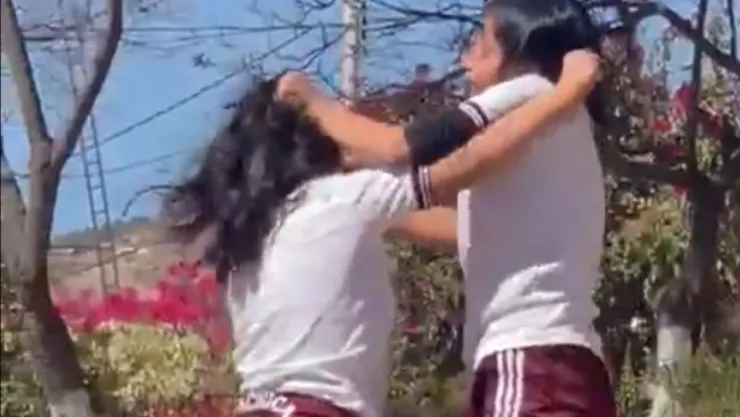Pelea de estudiantes
