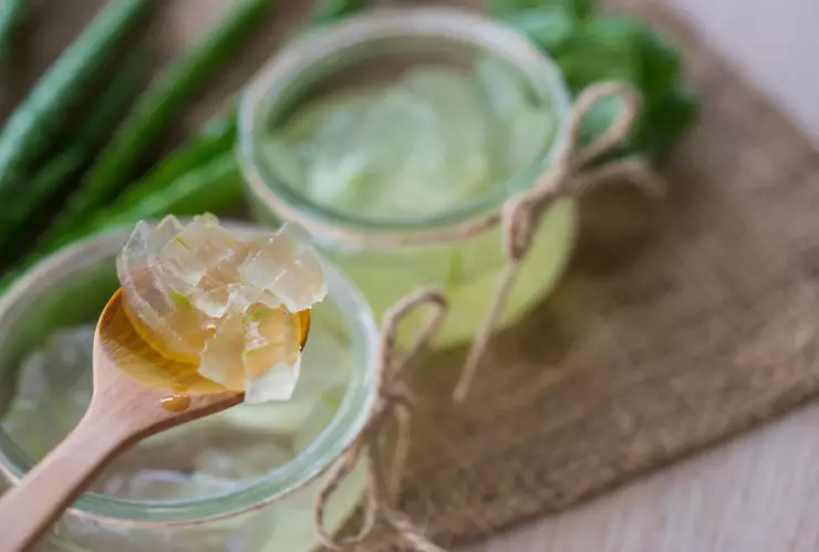 Esta es la planta que es rica en colágeno y una bomba antioxidante: aloe vera