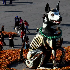 La leyenda del xoloitzcuintle en el Día de Muertos enaltece su valor y guía de las almas