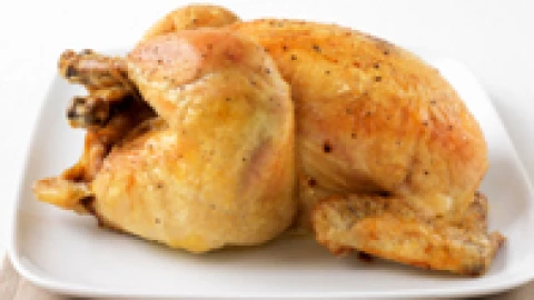 pollo