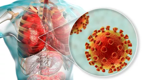 virus peligrosos 2026.jpg