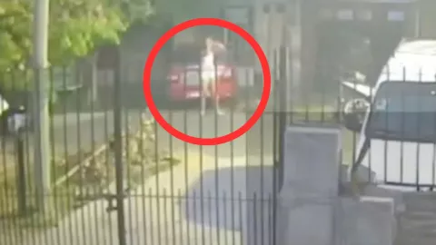 Disparos en plena calle: reclamo por infidelidad desata ataque contra mujer en Argentina