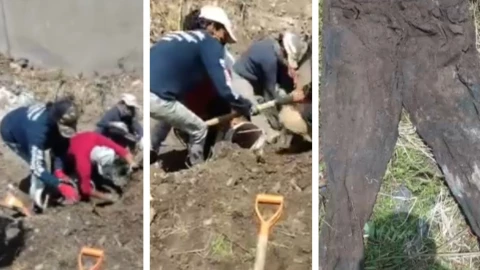 Guanajuato fosa clandestina madres