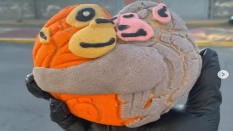 Fiebre por monito Punch se instala en México y aparece la Conchanguitos; te decimos dónde comprar el pan viral