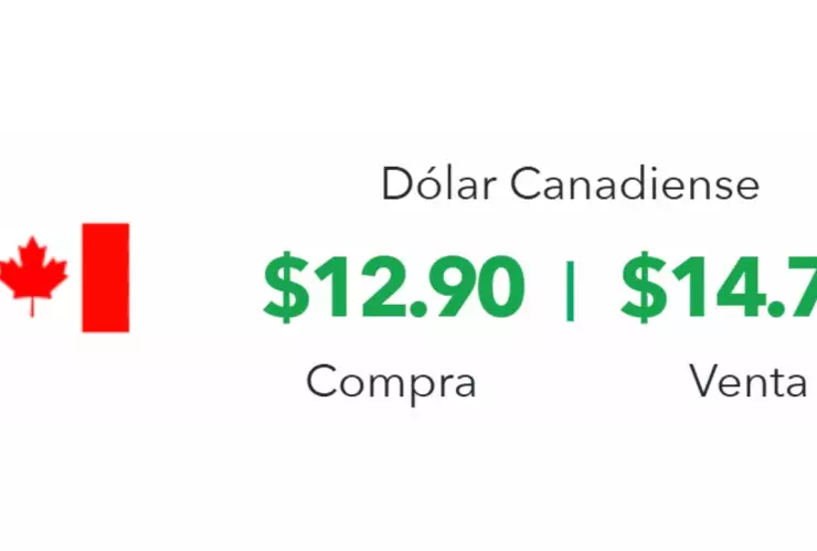 Precio del dólar en México hoy 26 de febrero 2025; tipo de cambio