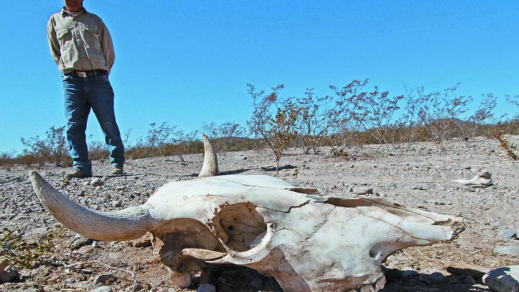 Sequía en Chihuahua.