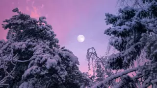 Superluna Fría 2025