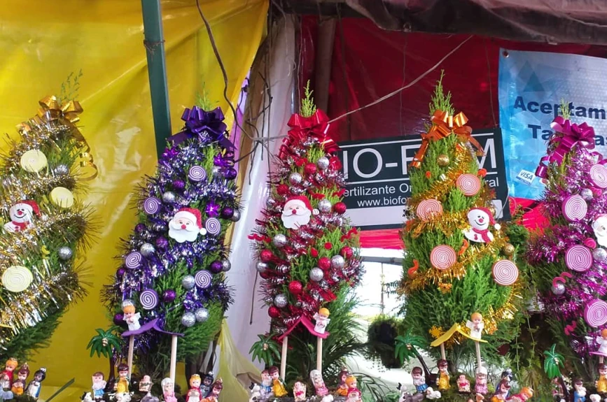 En estos mercados de flores puedes comprar nochebuenas en la CDMX