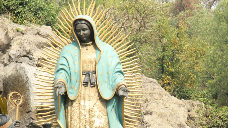 DÍA DE LA VIRGEN DE GUADALUPE