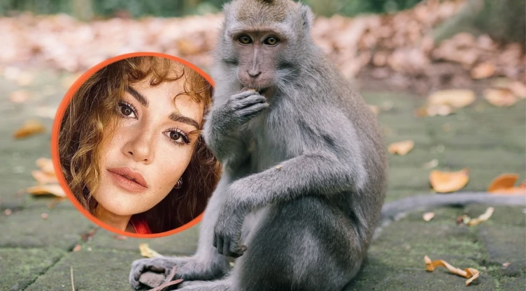 ¿Famosa actriz de novelas murió por la mordida de un mono? Esto es lo que se sabe