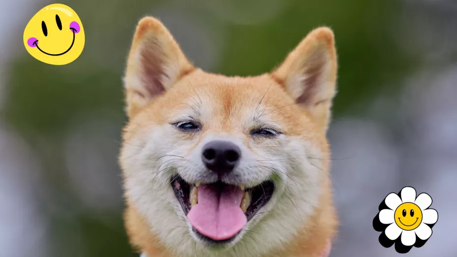 Día de la Sonrisa: frases bonitas y chistes cortos para compartir y reír este 3 de octubre