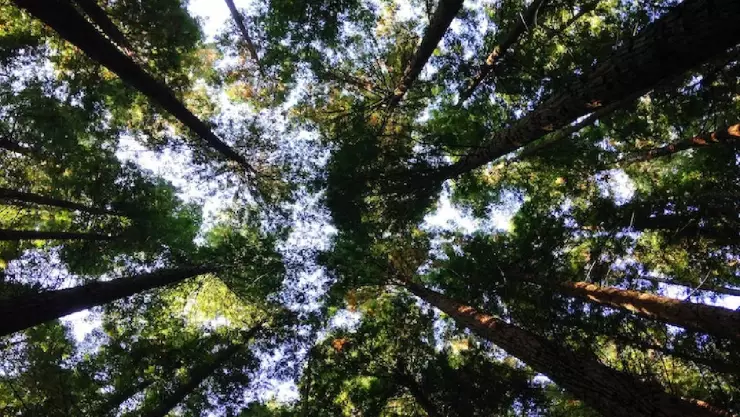 Efemérides del 26 de septiembre_ ¿Qué pasó un día como hoy?